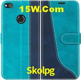 Tecnologia da Plataforma Skolpg